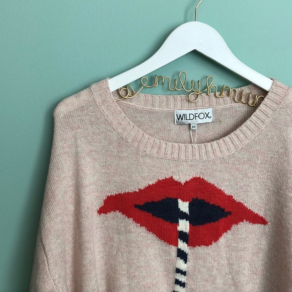 Wildfox Suck It Up Vineyard Sweater in Pout A2 - Picture 5 of 8